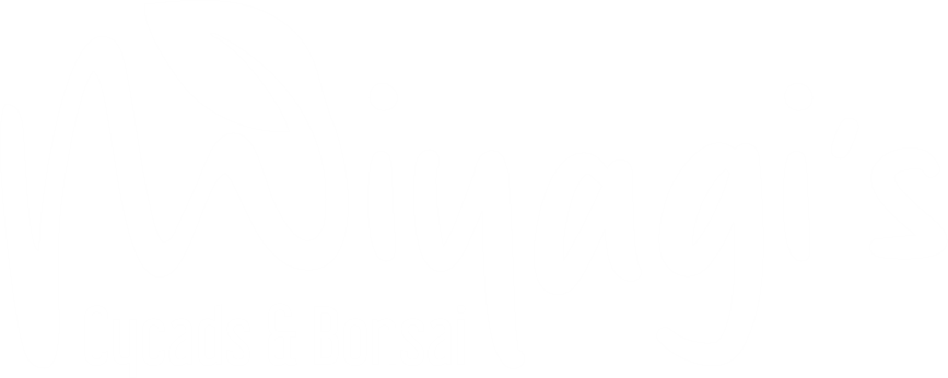 Miyagi's